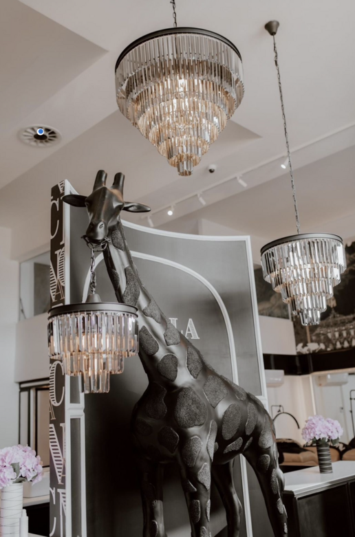 Novella and Co Interior
